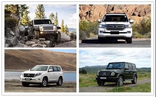 中国国产越野车视频,驰骋疆场，征服极限